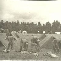 83