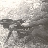 82