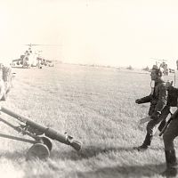 73