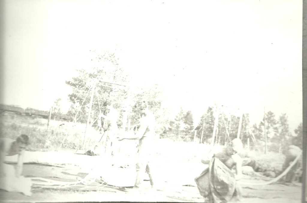 85